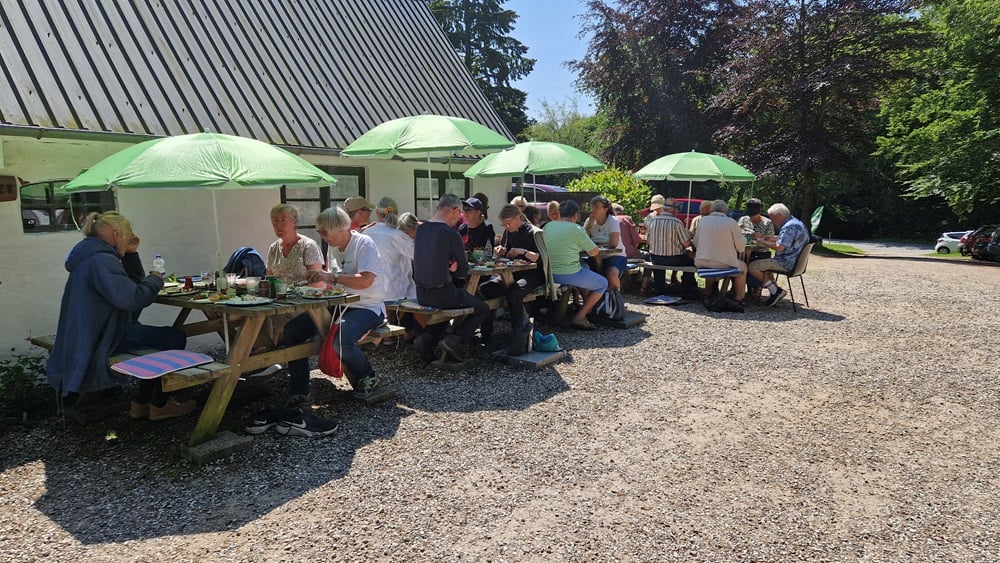 Alle 59 deltager fandt skygge.

Mon ikke man vender tilbage til at afholde Pinsefrokosten på en tirsdag - et stort ønske fra mange 🌞